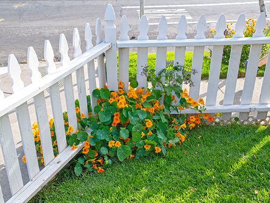 The 2023 Home & Garden Tour in Martinez, CA